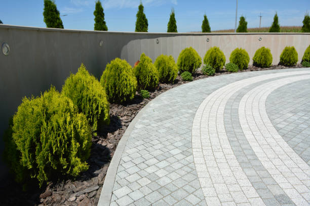 Trusted Clayton, CA Driveway Pavers Experts